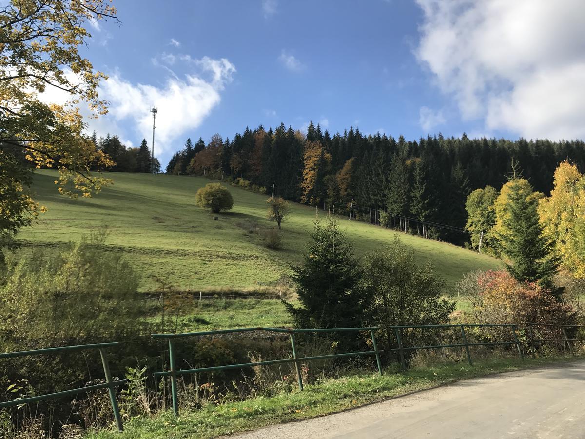 Areal Leskova Villa Velké Karlovice Exteriör bild