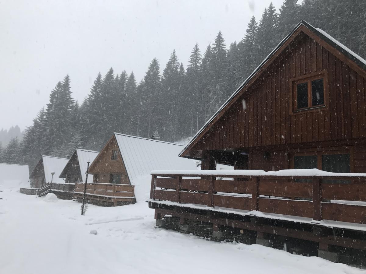 Areal Leskova Villa Velké Karlovice Exteriör bild