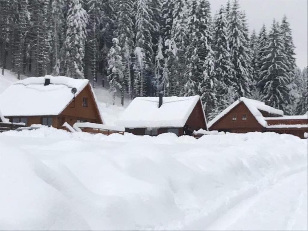 Areal Leskova Villa Velké Karlovice Exteriör bild